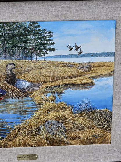 Original Oil On Board Painting Of Black Ducks Chesapeake Bay Dorchester Co, MD