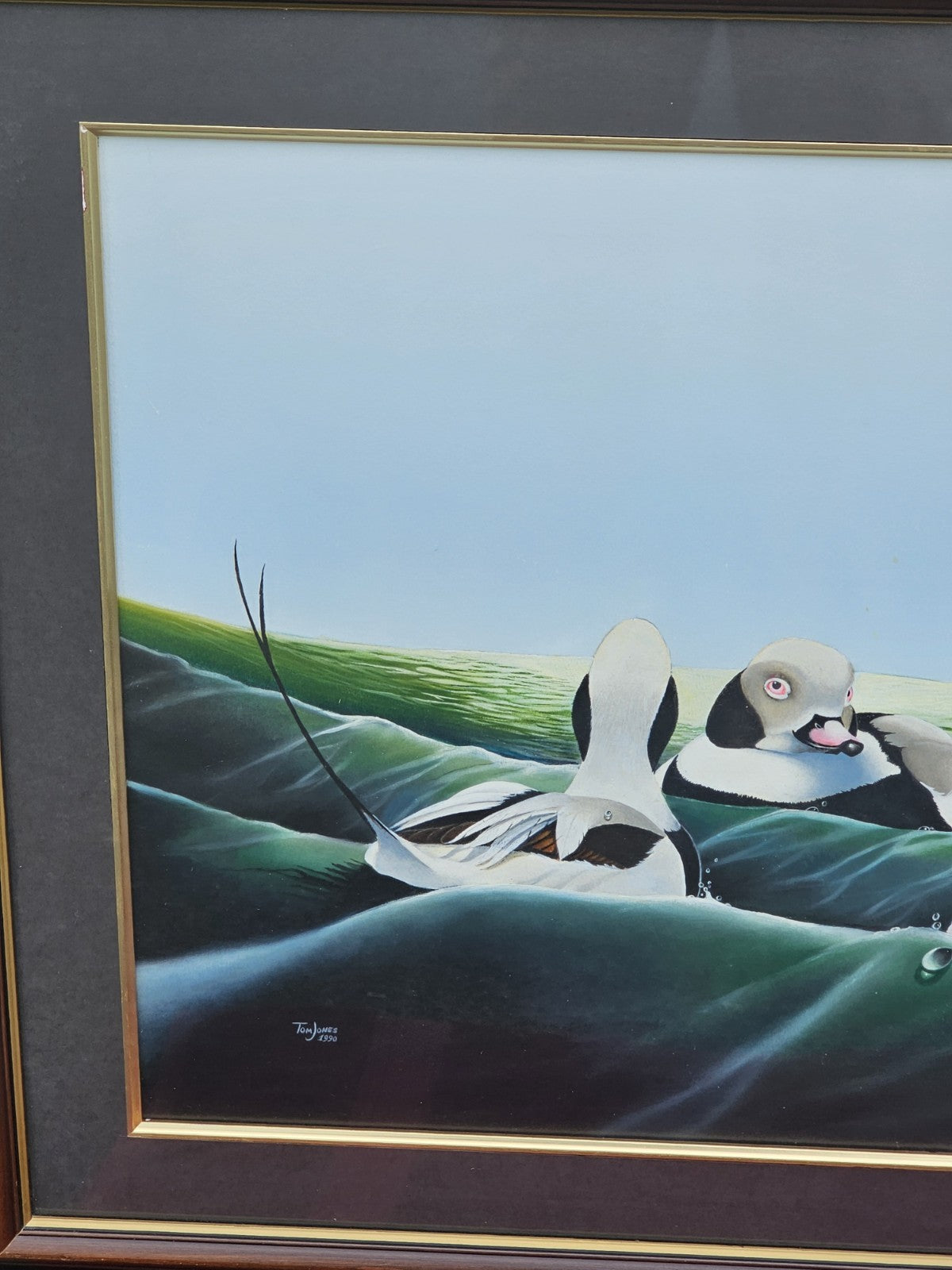 Original Watercolor Painting Of Long Tailed Ducks Chesapeake Bay MD 