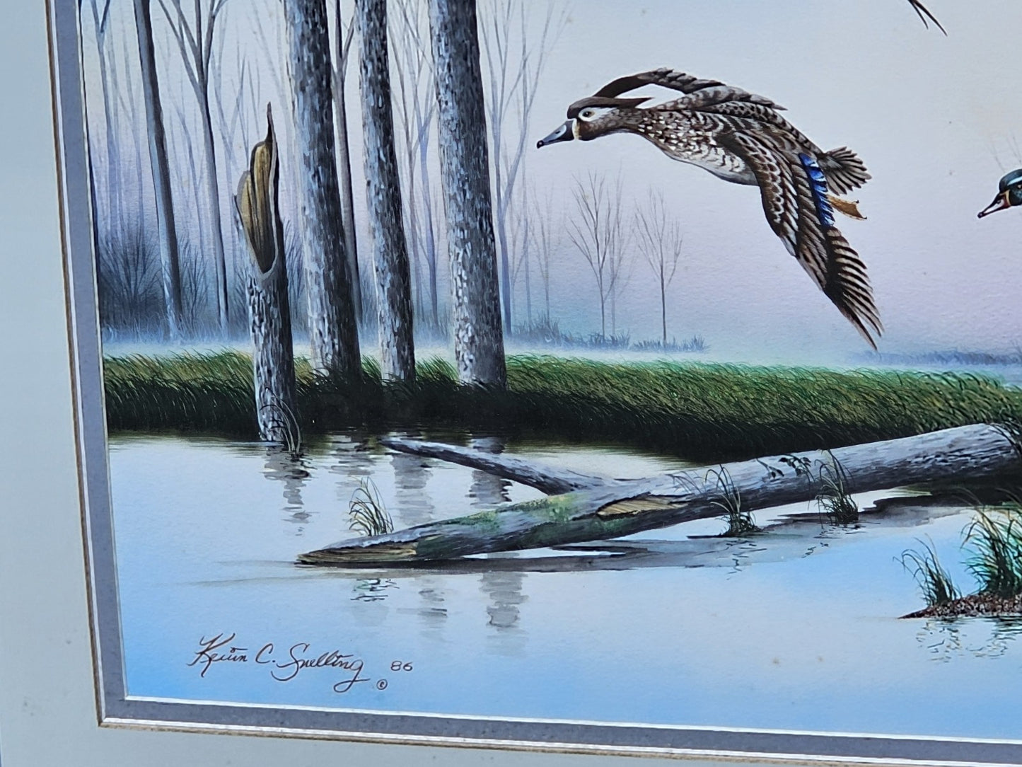 Original Watercolor Painting Of Wood Ducks Chesapeake Bay Area MD Kevin Snelling