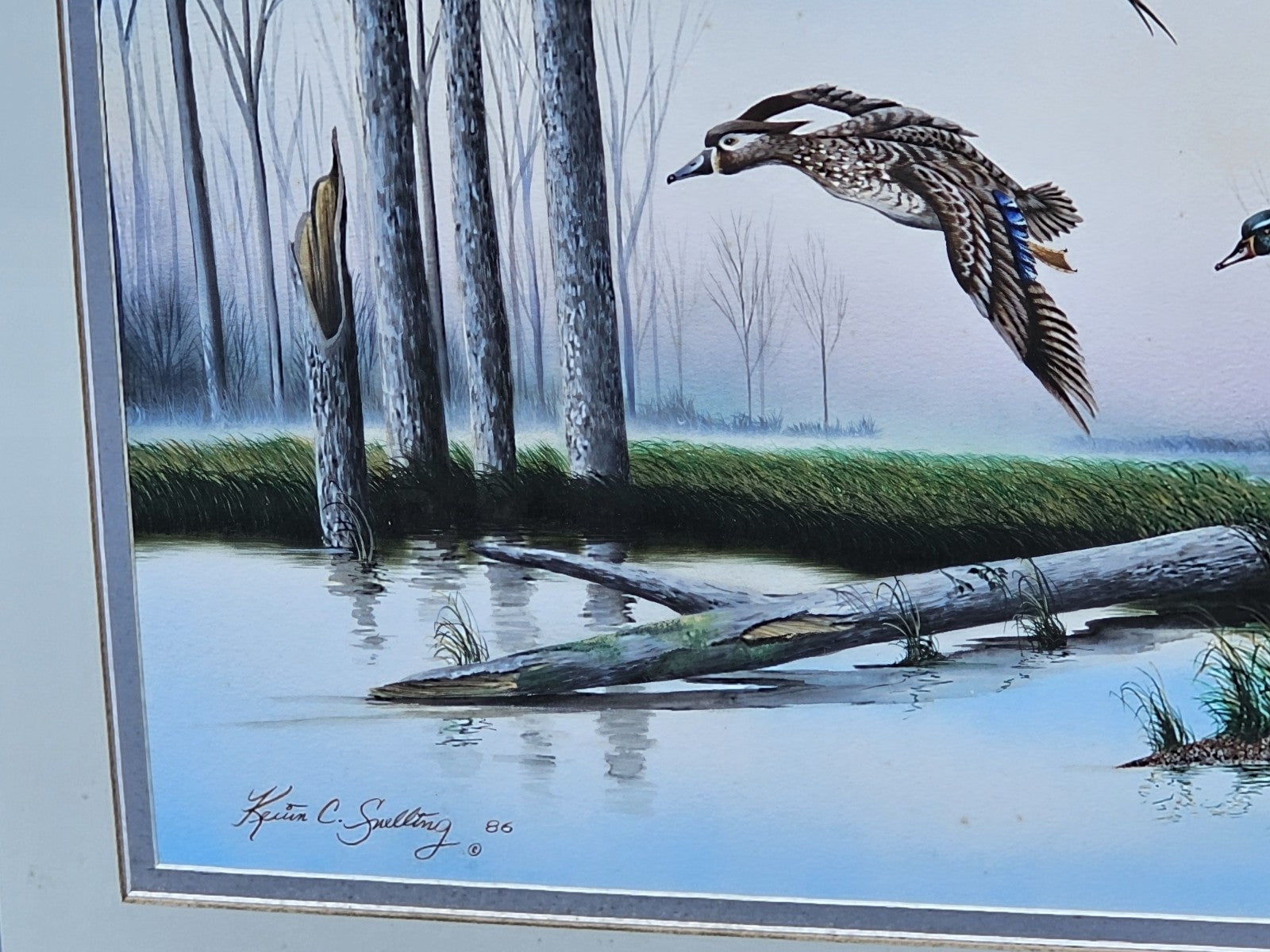 Original Watercolor Painting Of Wood Ducks Chesapeake Bay Area MD Kevin Snelling