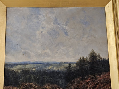 Antique 19th Century Oil On Canvas 3D Painting Original Frame Mountsin Top Scene