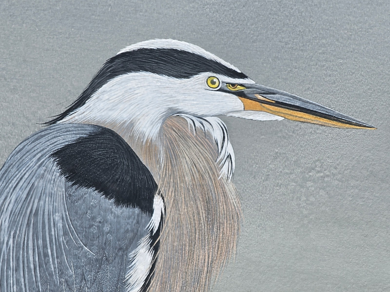 Original Signed Watercolor Painting Of Blue Heron Chesapeake Bay Area MD