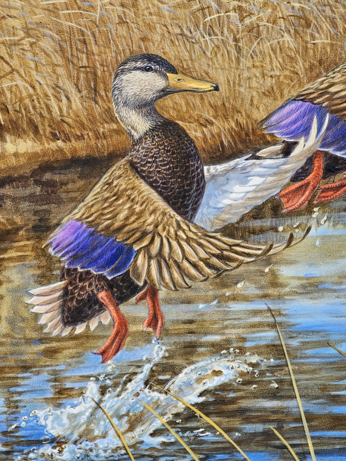 Original Oil On Board Painting Of Black Ducks Chesapeake Bay Dorchester Co, MD