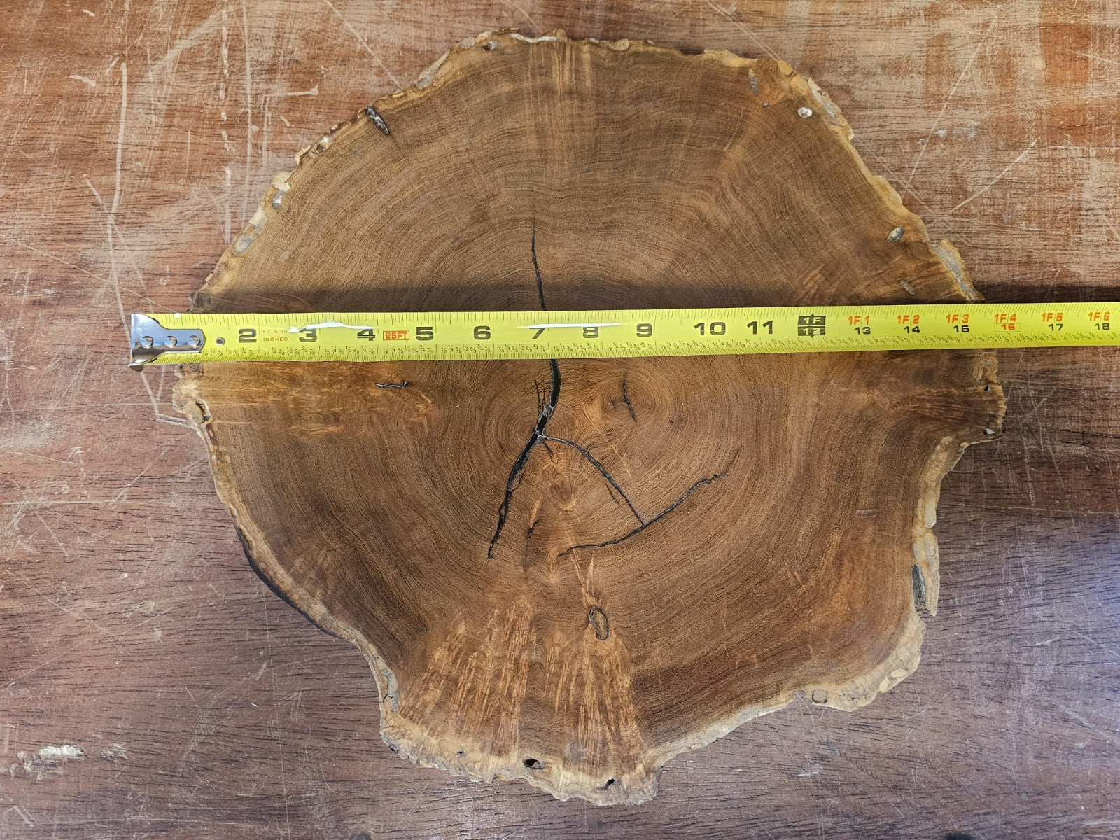 Mesquite Burlwood Free Form Piece. Artistic Lines and Color.