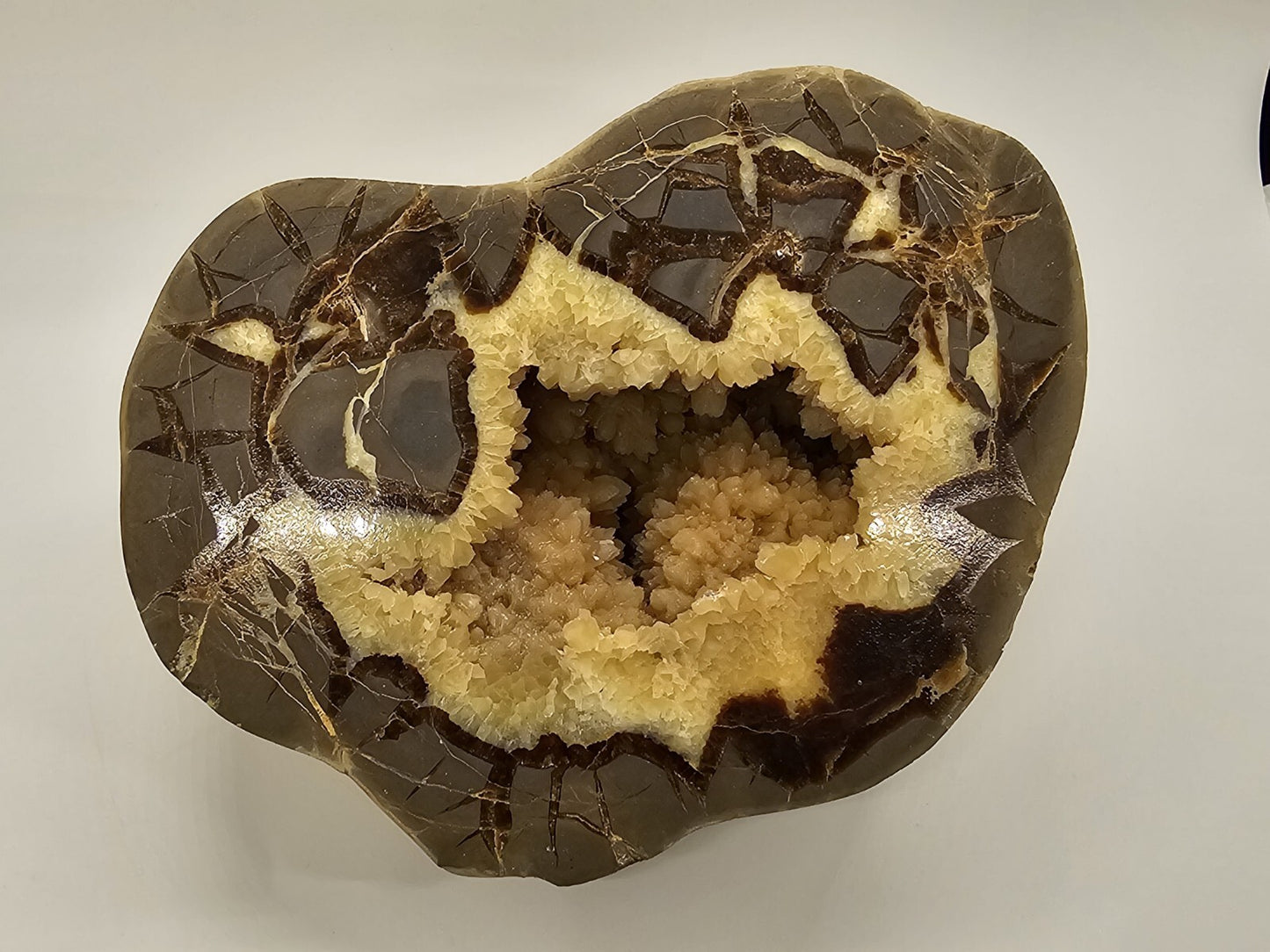 7 Pound Sectarian Nodule Polished Crystal Geode Dragon Stone Utah SN45?13 