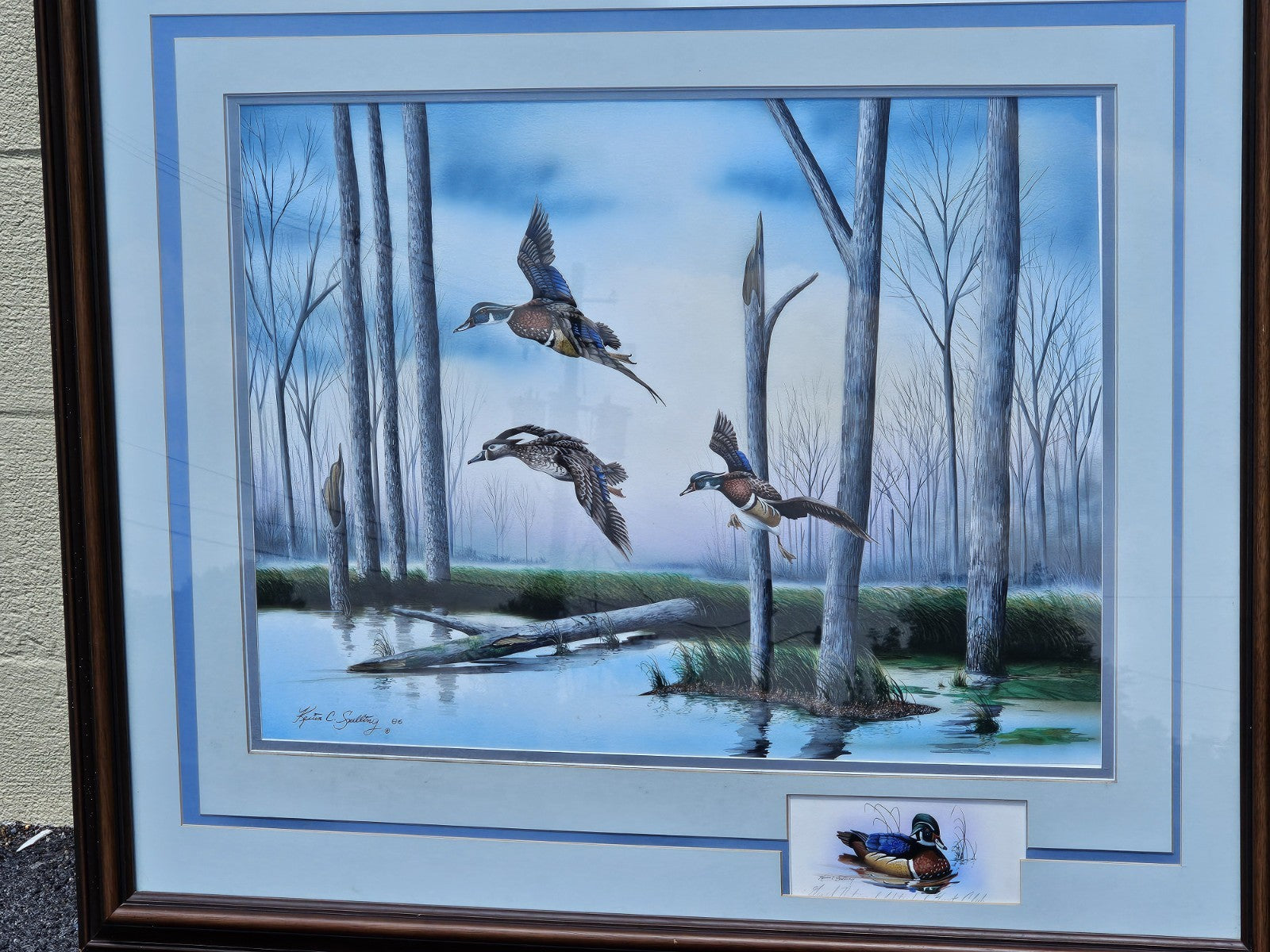 Original Watercolor Painting Of Wood Ducks Chesapeake Bay Area MD Kevin Snelling