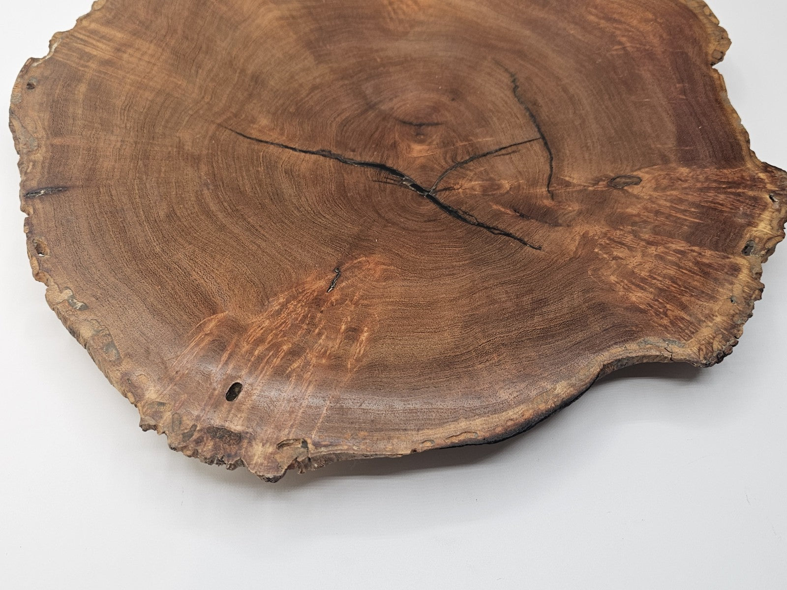 Mesquite Burlwood Free Form Piece. Artistic Lines and Color.