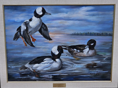 Original Oil On Canvas Painting Of Bufflehead Ducks Chesapeake Bay Area MD