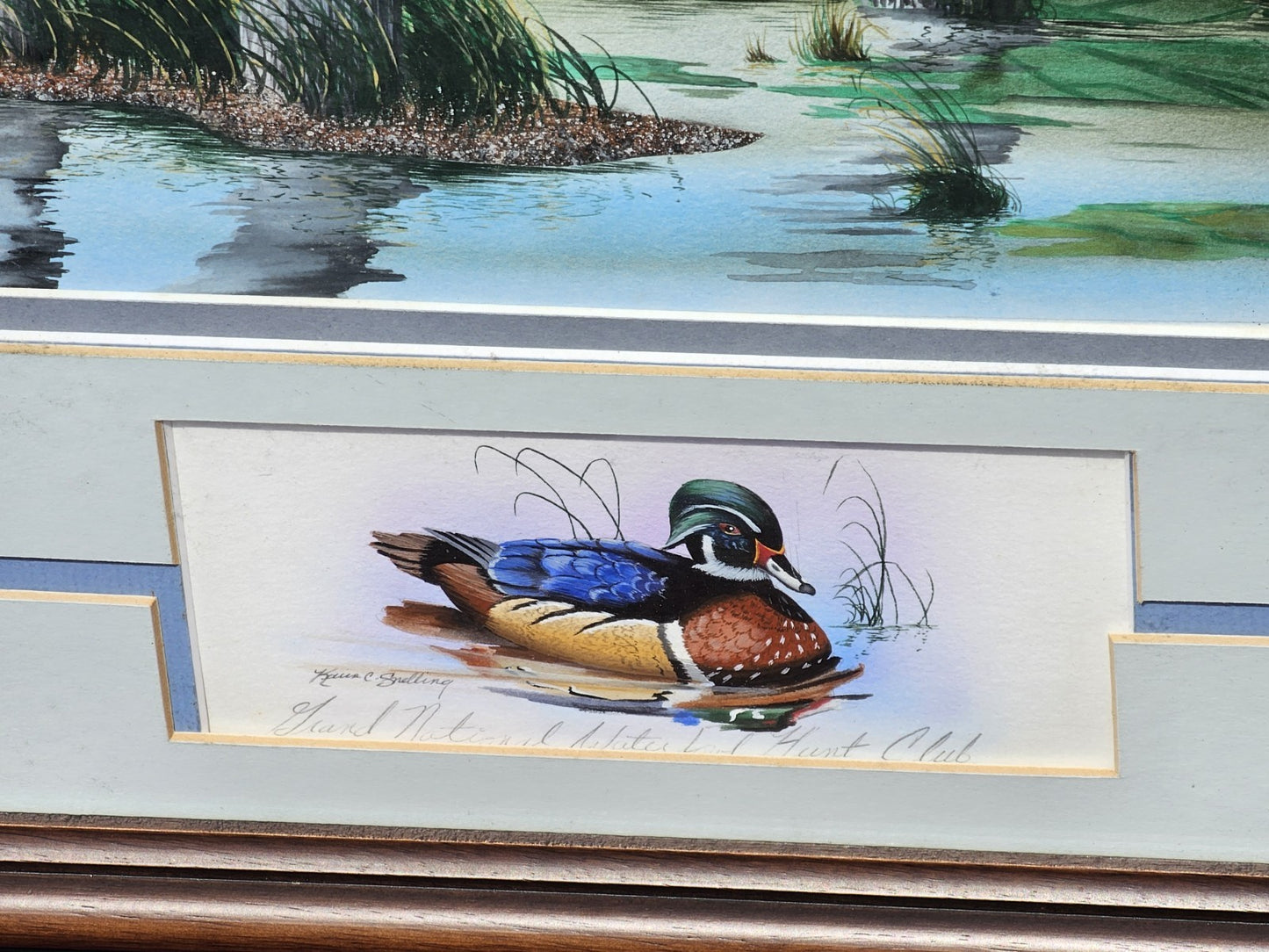 Original Watercolor Painting Of Wood Ducks Chesapeake Bay Area MD Kevin Snelling
