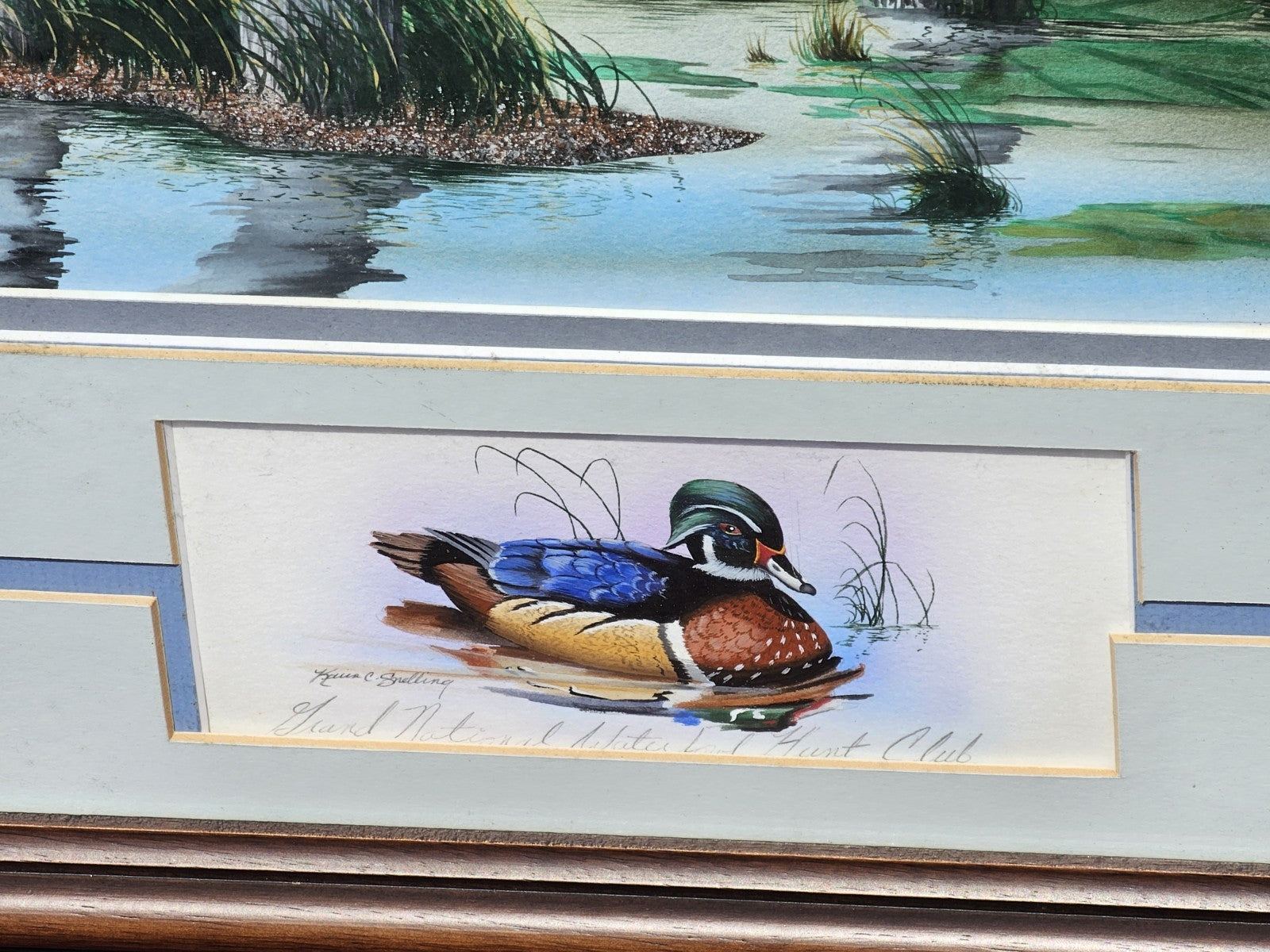 Original Watercolor Painting Of Wood Ducks Chesapeake Bay Area MD Kevin Snelling