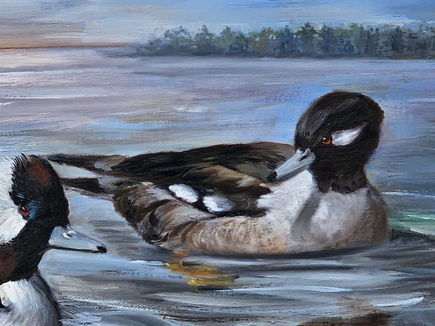 Original Oil On Canvas Painting Of Bufflehead Ducks Chesapeake Bay Area MD