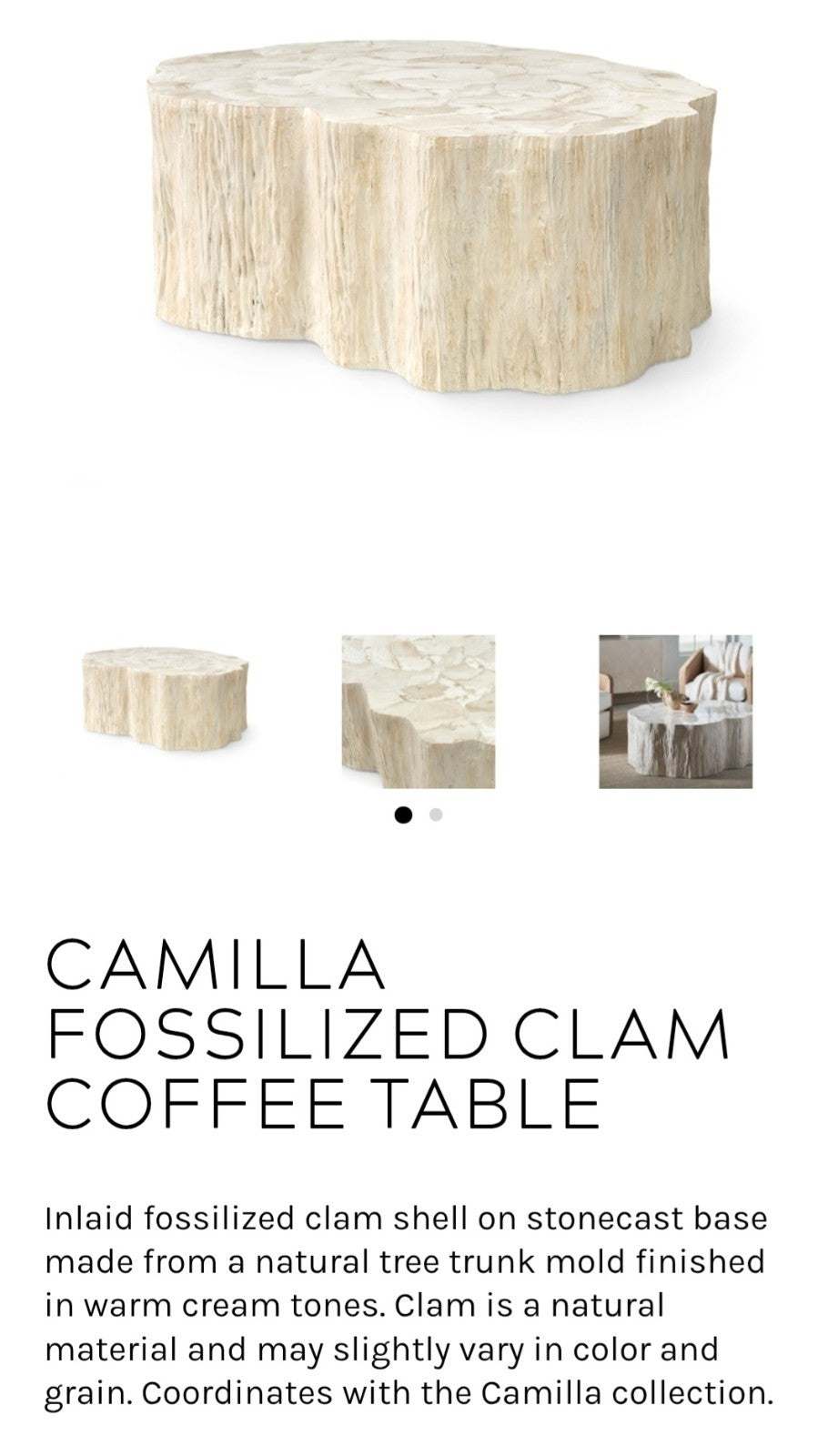 Fossilized Clam Shell Coffee Table On Cast Natural Tree Trunk Base By Camilla