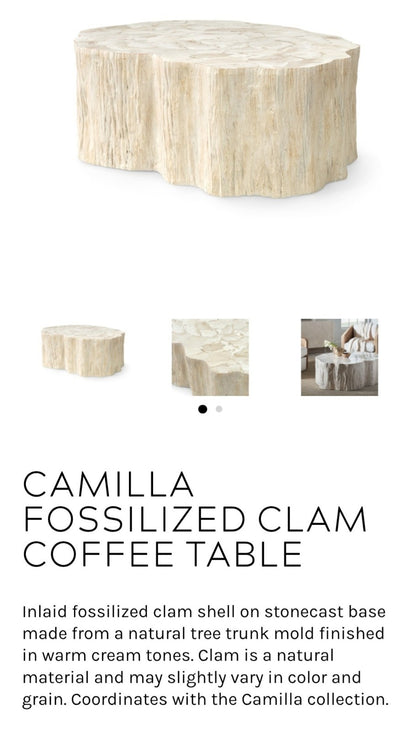 Fossilized Clam Shell Coffee Table On Cast Natural Tree Trunk Base By Camilla