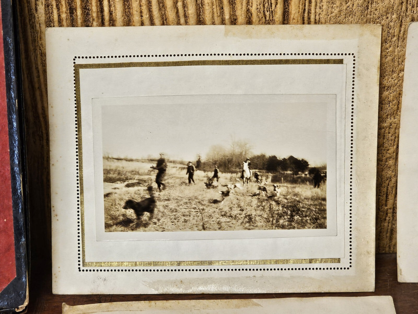 Vintage Lot Of 23 Fox Hunting Photos Black & White With Hounds & Hunters