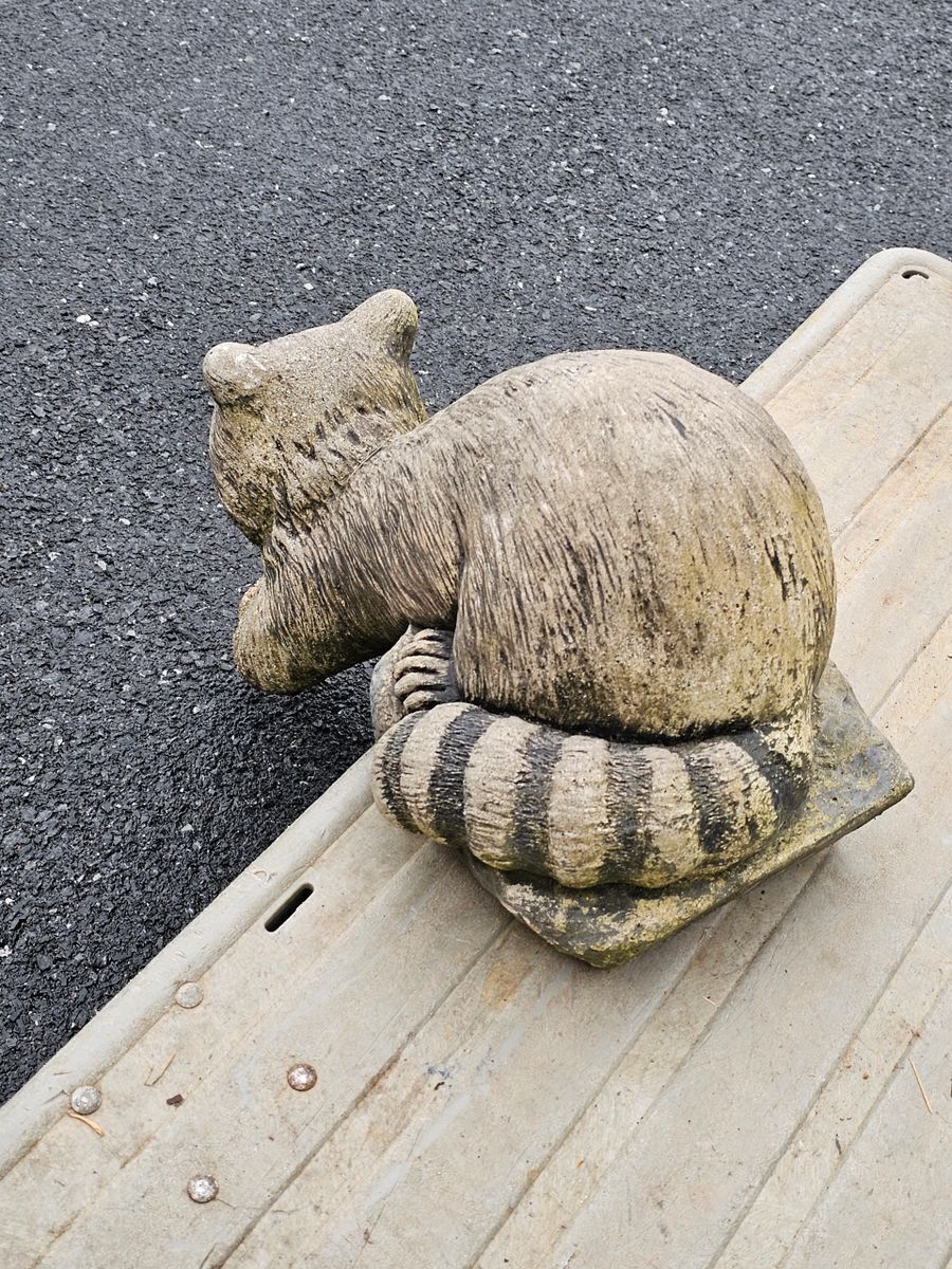 Outdoor Playful Fishing Concrete Raccoon for Pond w Great Detail Stamped