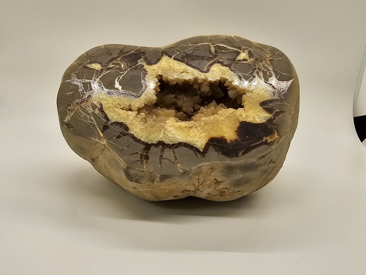 7 Pound Sectarian Nodule Polished Crystal Geode Dragon Stone Utah SN45?13 