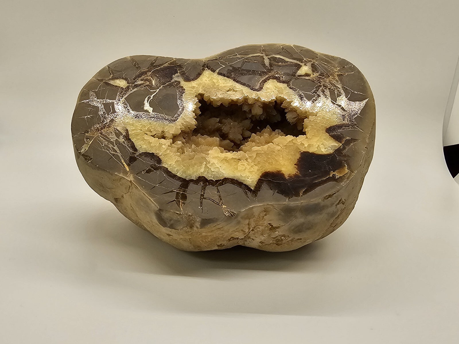 7 Pound Sectarian Nodule Polished Crystal Geode Dragon Stone Utah SN45?13 