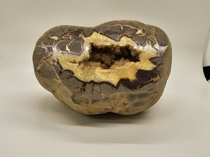 7 Pound Sectarian Nodule Polished Crystal Geode Dragon Stone Utah SN45?13 
