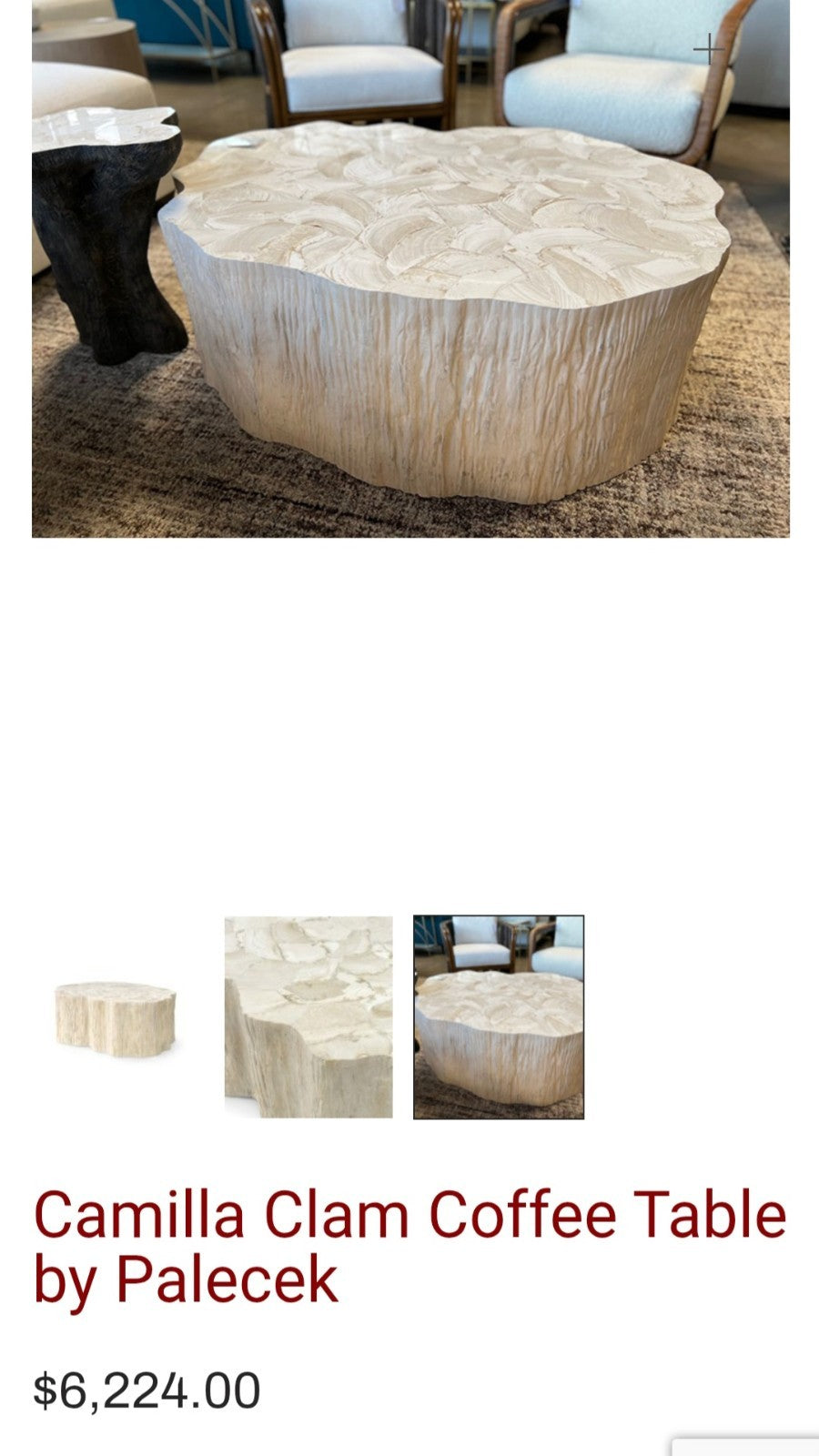 Fossilized Clam Shell Coffee Table On Cast Natural Tree Trunk Base By Camilla