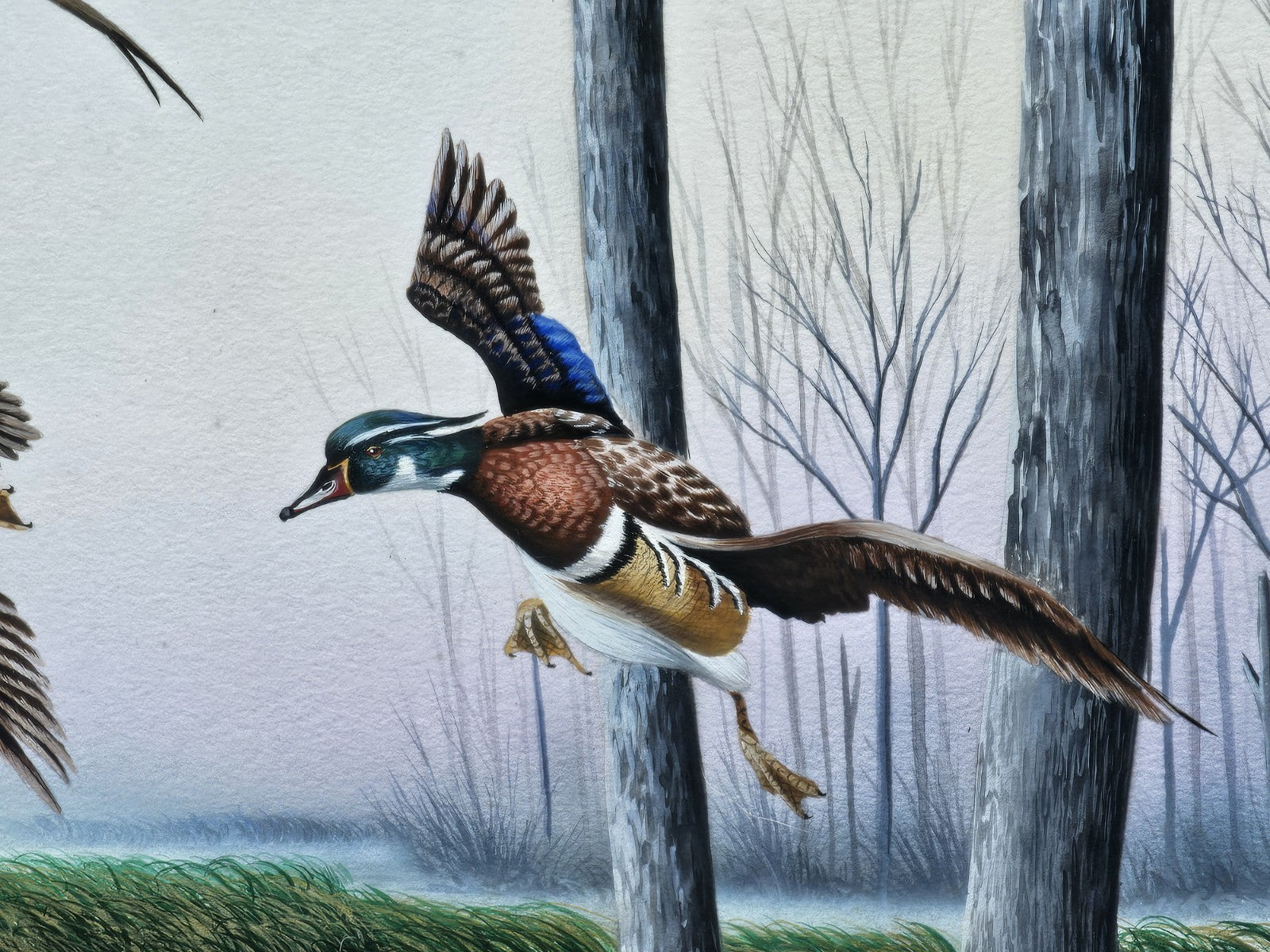 Original Watercolor Painting Of Wood Ducks Chesapeake Bay Area MD Kevin Snelling