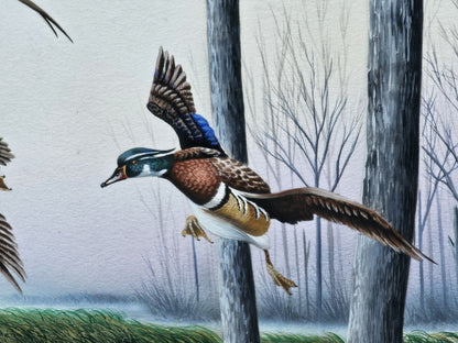 Original Watercolor Painting Of Wood Ducks Chesapeake Bay Area MD Kevin Snelling