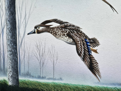 Original Watercolor Painting Of Wood Ducks Chesapeake Bay Area MD Kevin Snelling