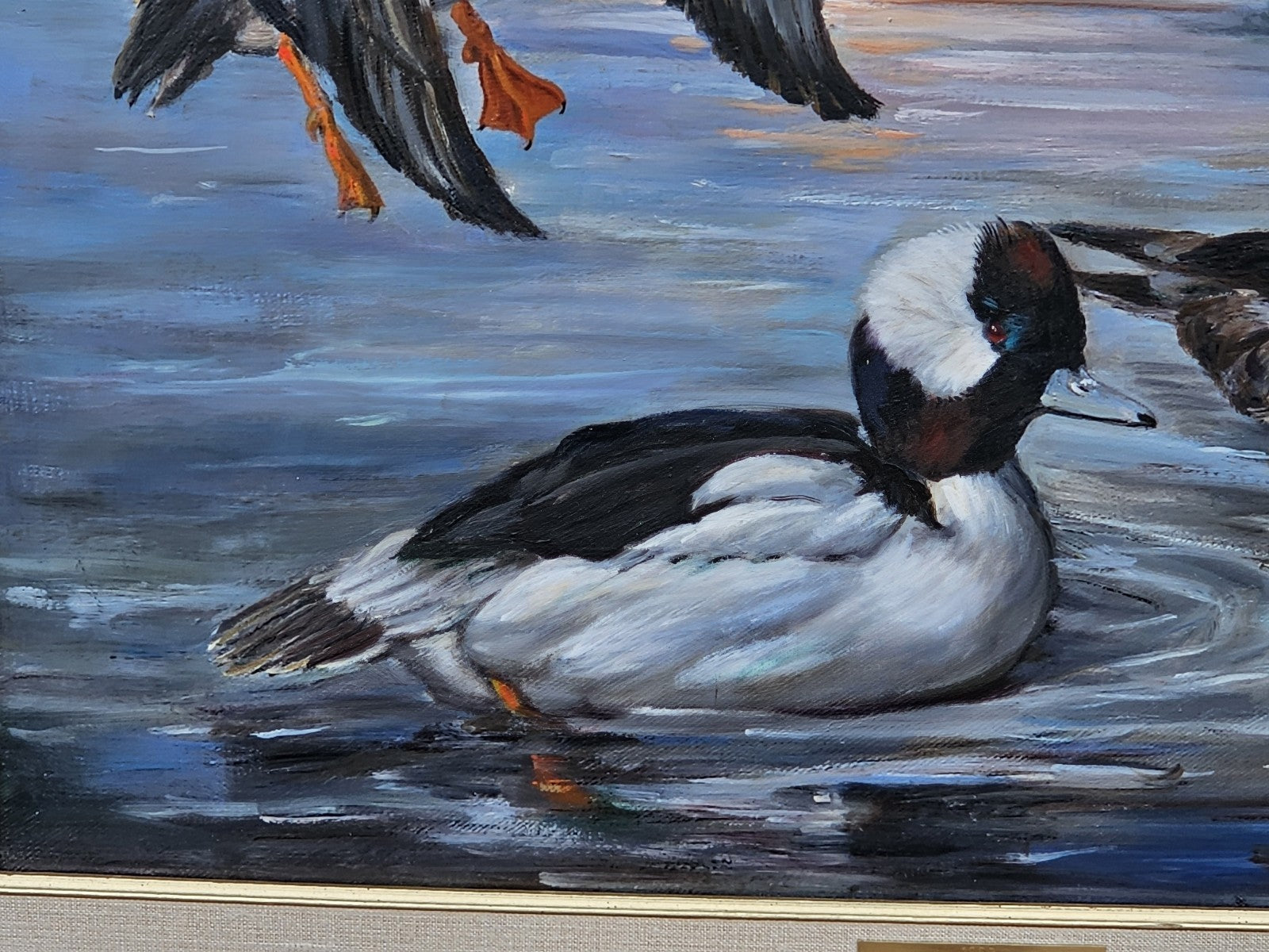 Original Oil On Canvas Painting Of Bufflehead Ducks Chesapeake Bay Area MD