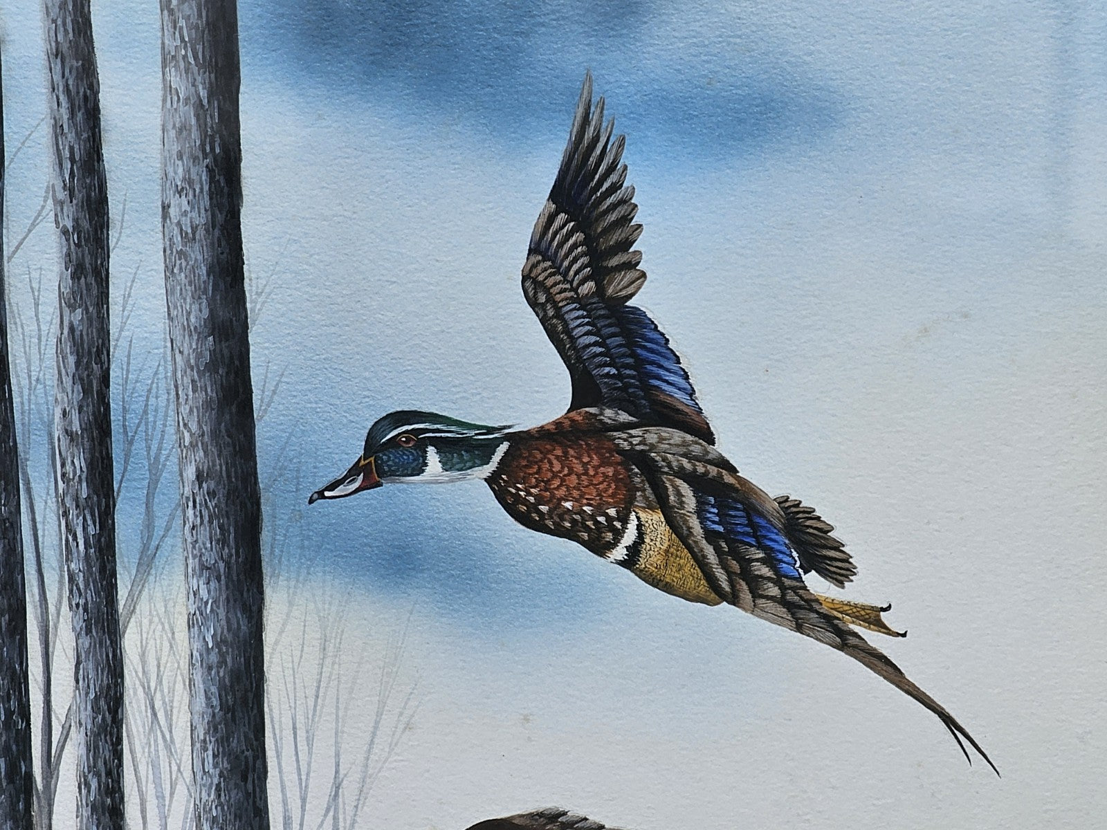 Original Watercolor Painting Of Wood Ducks Chesapeake Bay Area MD Kevin Snelling