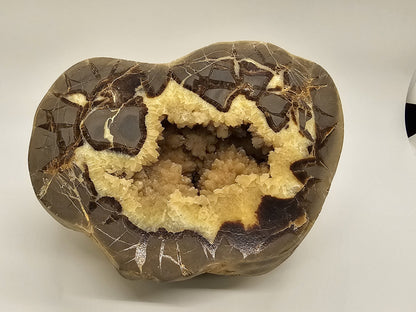 7 Pound Sectarian Nodule Polished Crystal Geode Dragon Stone Utah SN45?13 