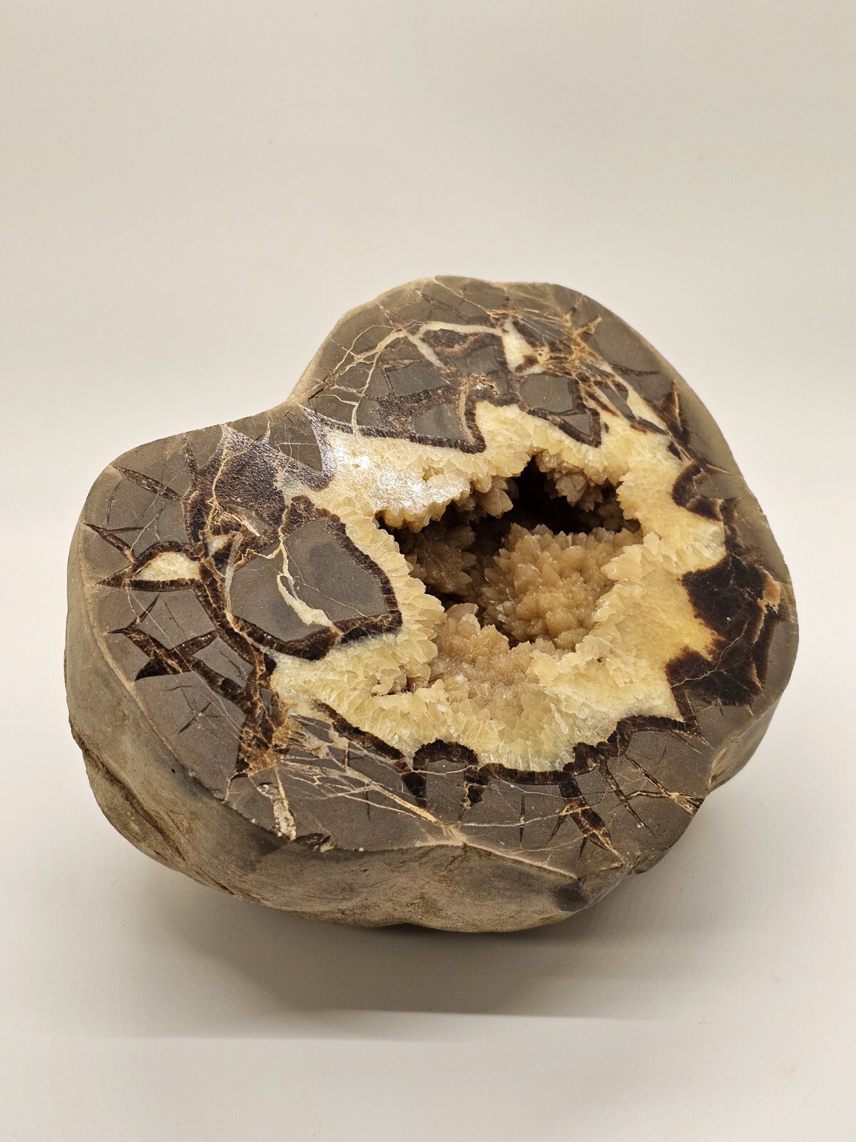 7 Pound Sectarian Nodule Polished Crystal Geode Dragon Stone Utah SN45?13 