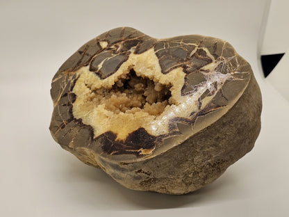 7 Pound Sectarian Nodule Polished Crystal Geode Dragon Stone Utah SN45?13 
