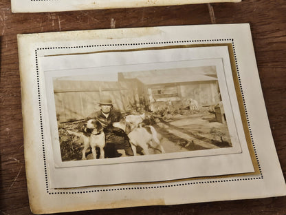Vintage Lot Of 23 Fox Hunting Photos Black & White With Hounds & Hunters