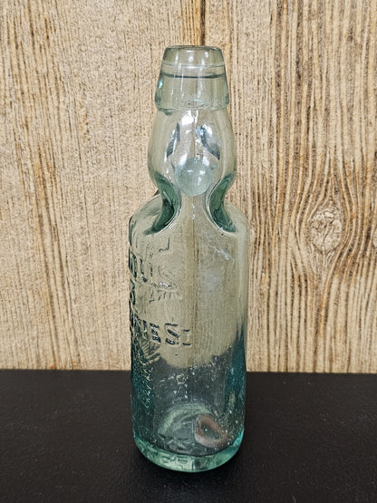 M Lapidus 83 Codd Bottle Peacock Great Ducie Strangeways Manchester W Marble
