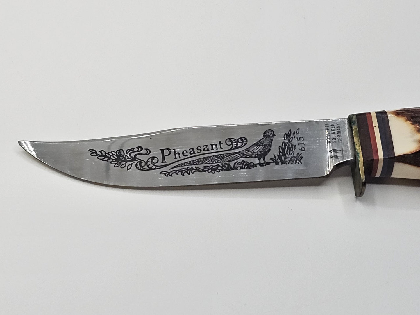Rostfrei Solingen Germany Stag Horn Hunting Knife Engraved Blade Advertising 8" 