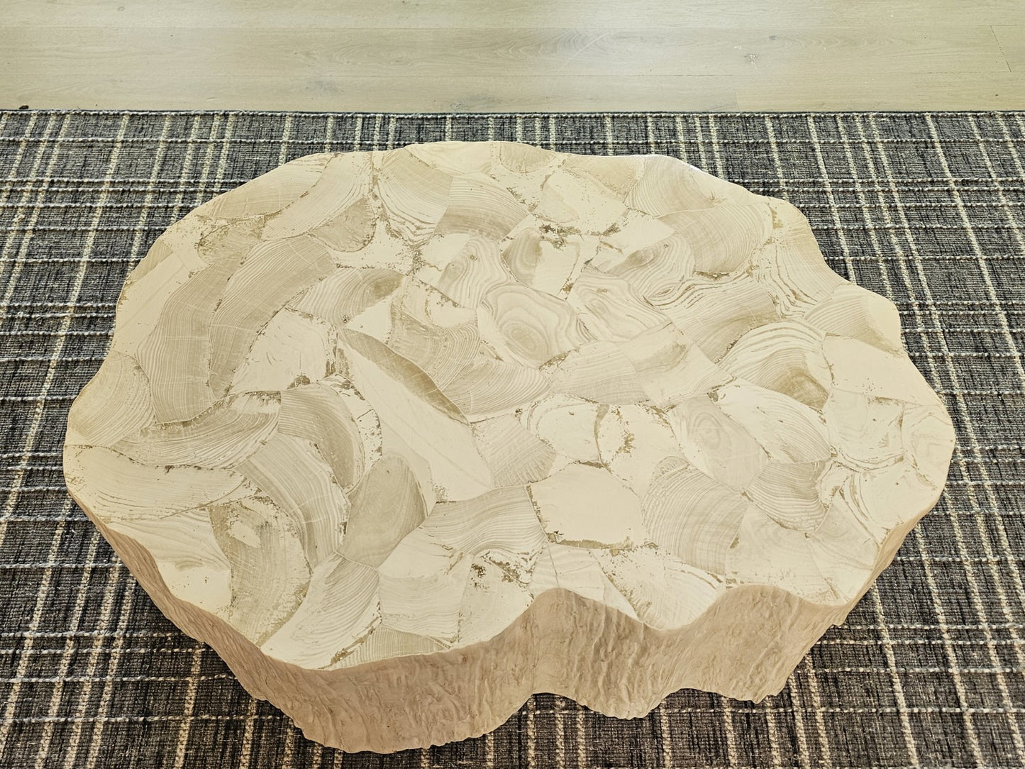 Fossilized Clam Shell Coffee Table On Cast Natural Tree Trunk Base By Camilla
