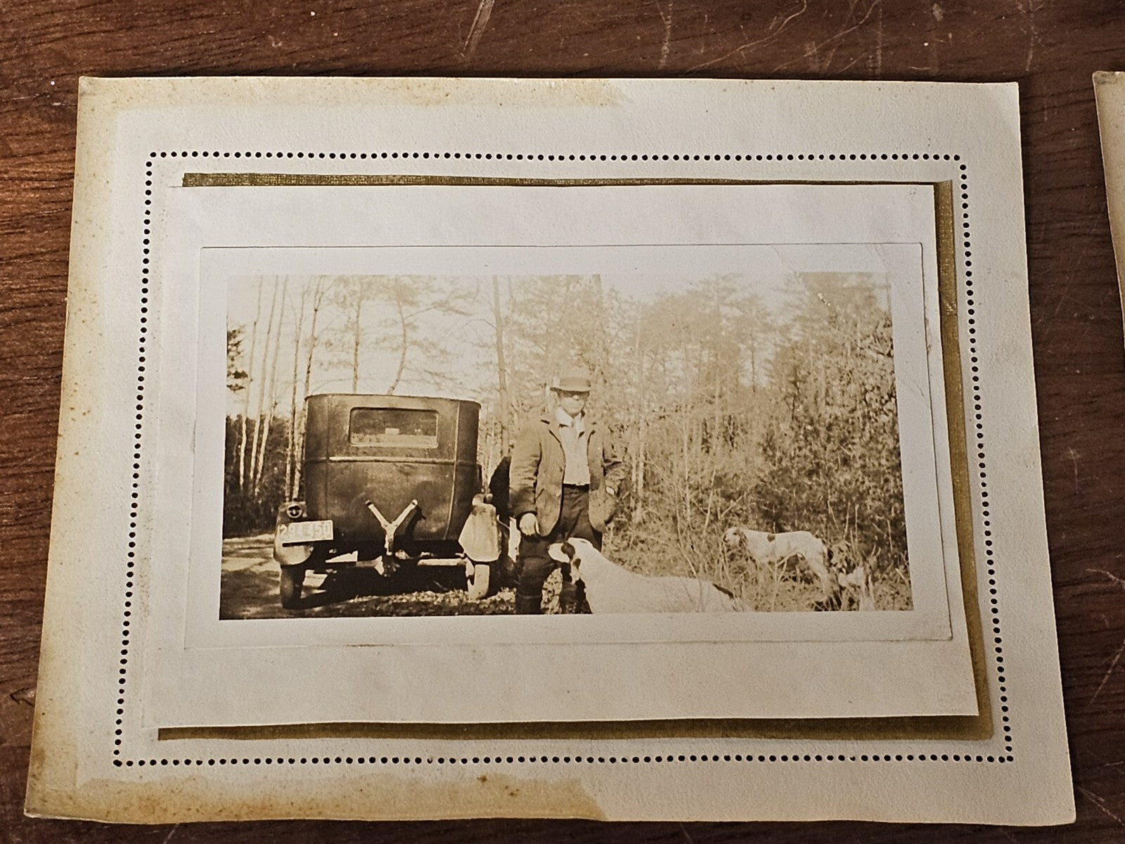 Vintage Lot Of 23 Fox Hunting Photos Black & White With Hounds & Hunters