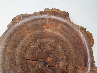 Mesquite Burlwood Free Form Piece. Artistic Lines and Color.