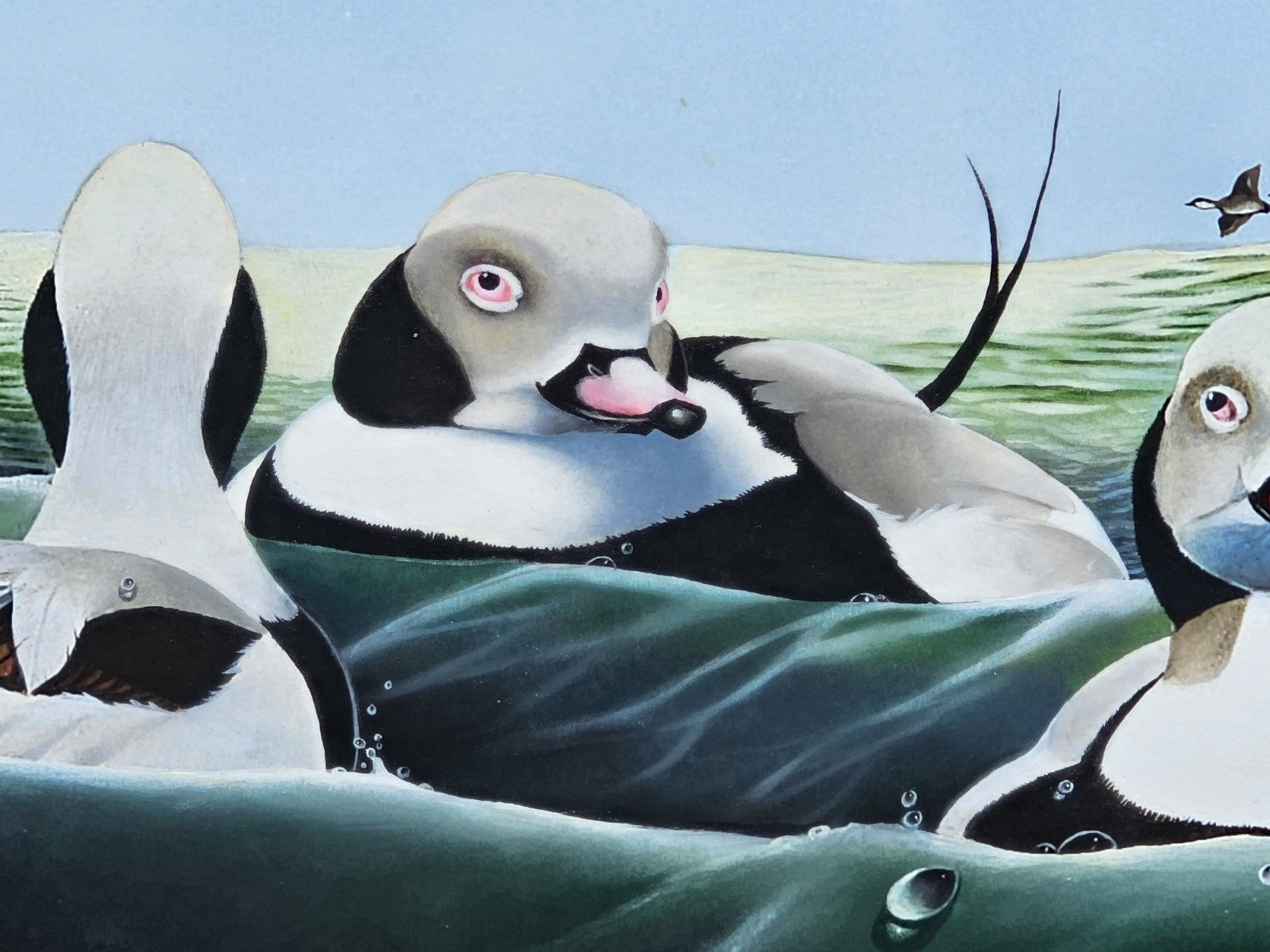 Original Watercolor Painting Of Long Tailed Ducks Chesapeake Bay MD 
