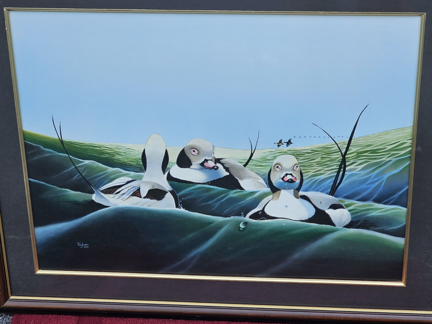 Original Watercolor Painting Of Long Tailed Ducks Chesapeake Bay MD 