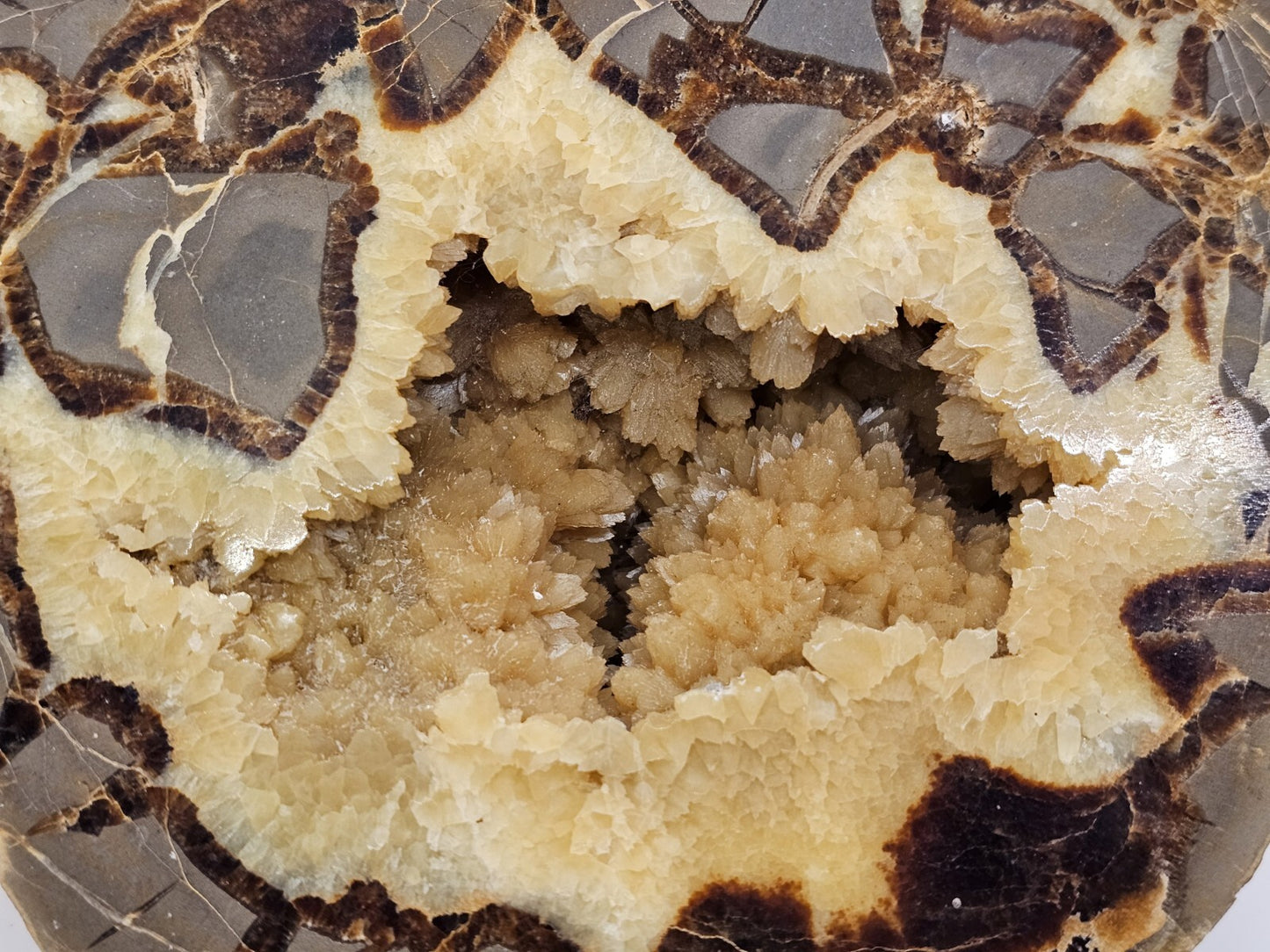7 Pound Sectarian Nodule Polished Crystal Geode Dragon Stone Utah SN45?13 