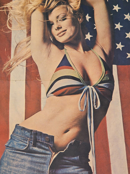 Dian Parkinson Price Is Right Vintage Poster Posing w The American Flag 35.5x18"