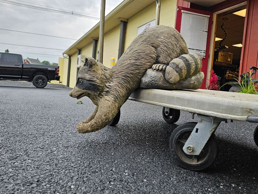 Outdoor Playful Fishing Concrete Raccoon for Pond w Great Detail Stamped Local Pick Up